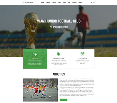 CMS Website Templates